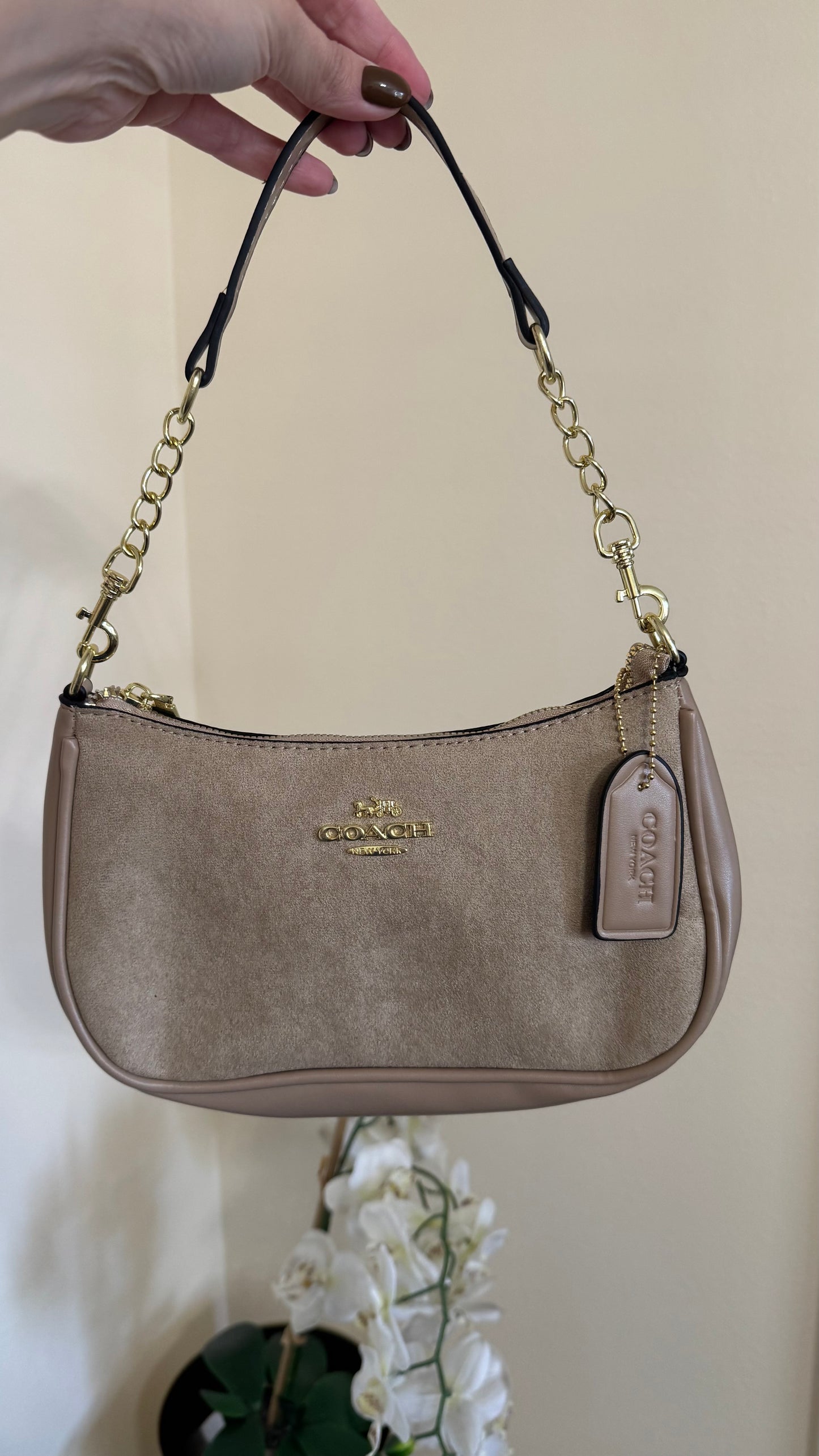 C hand bag & Cross body
