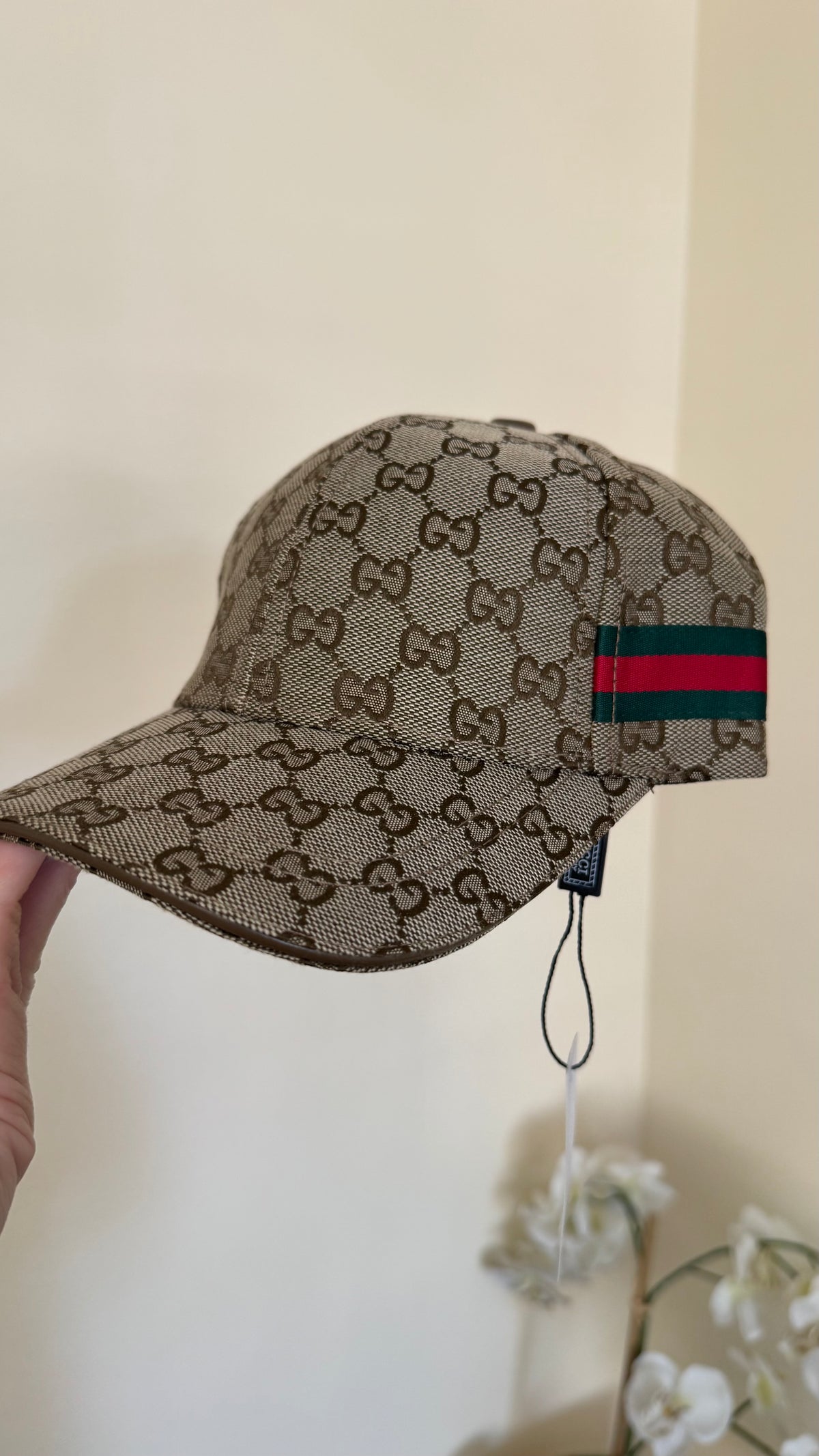 Gorras (Cap)
