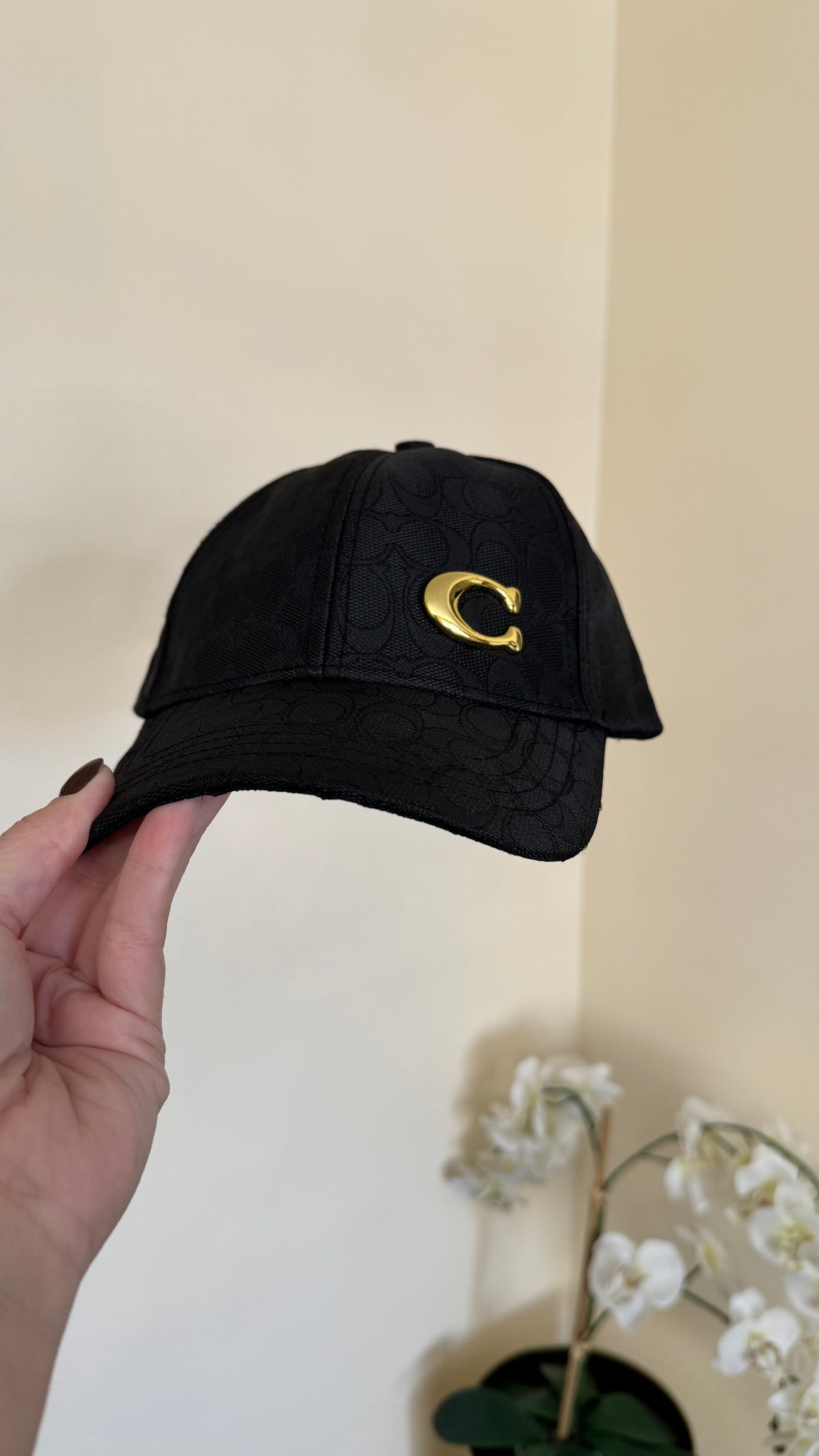 Gorras (Cap)