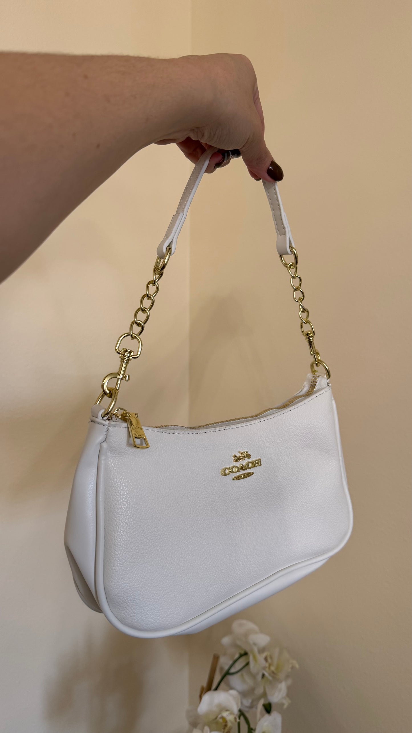 C hand bag & Cross body